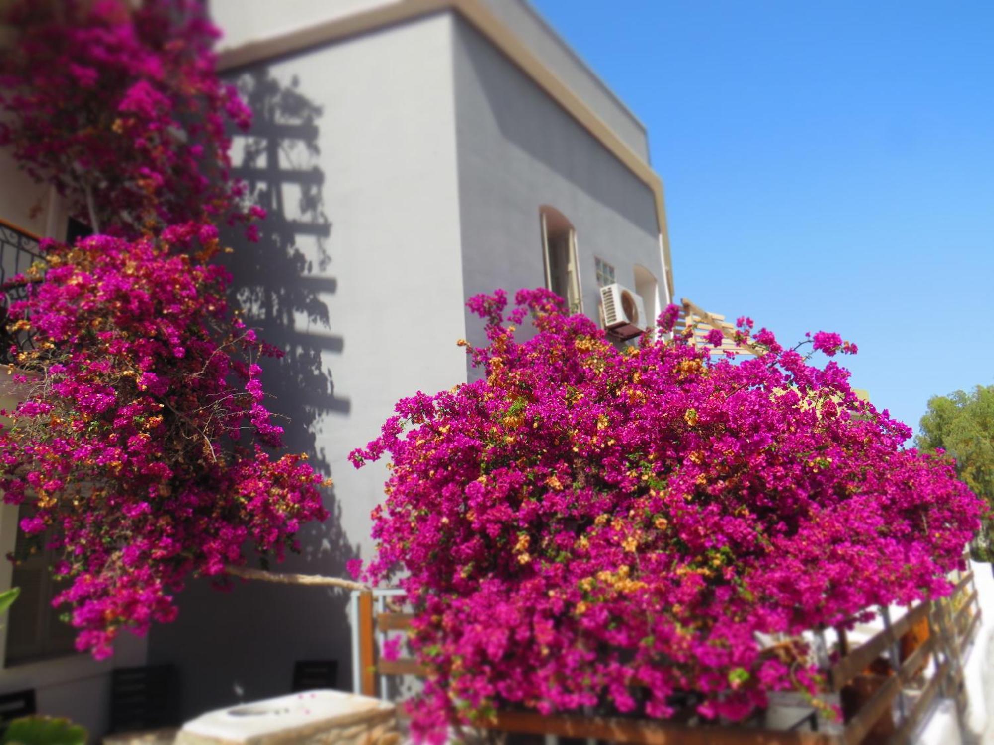 Axilleion Boutique Hotel Ermoupoli Ngoại thất bức ảnh