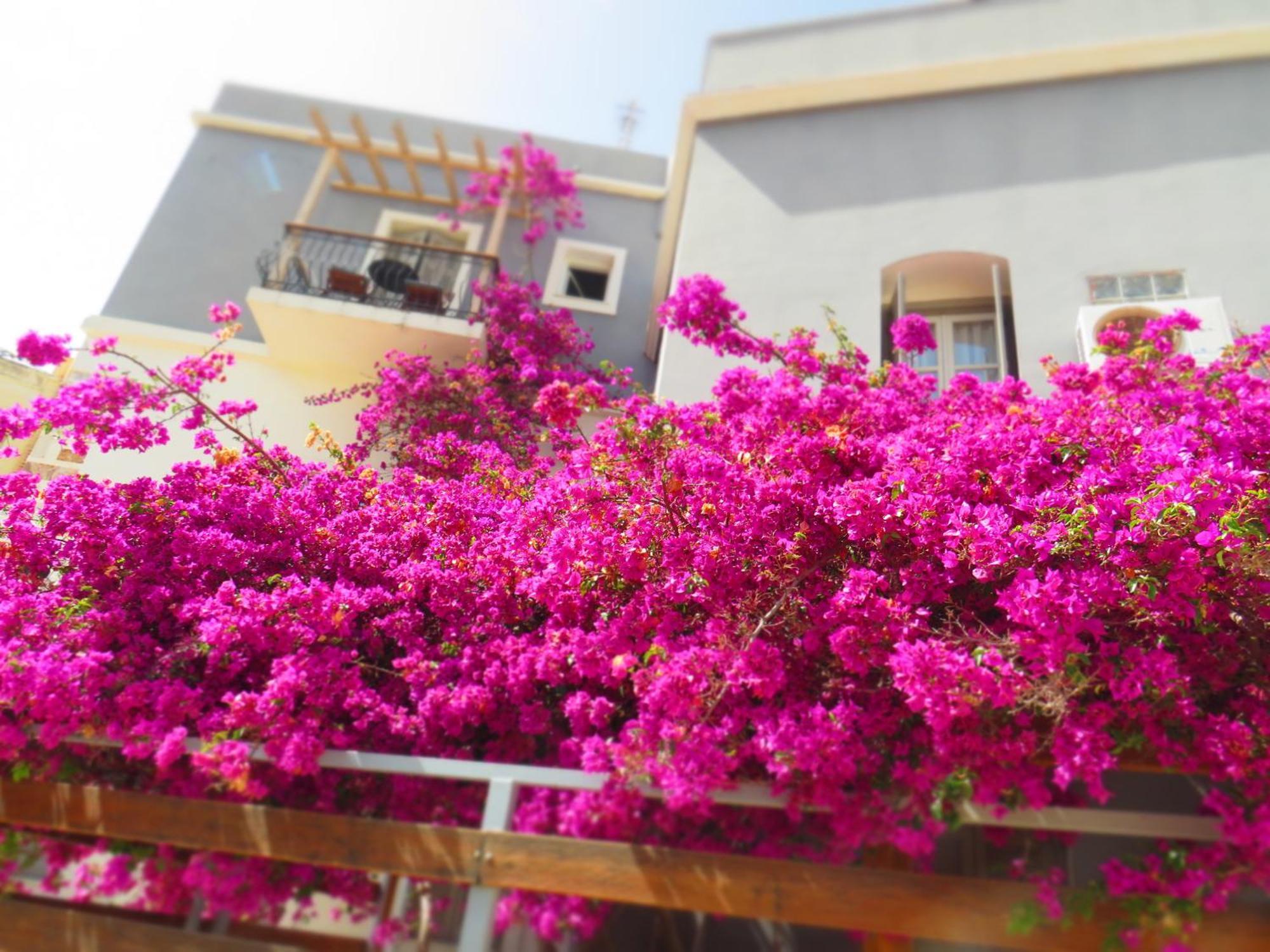 Axilleion Boutique Hotel Ermoupoli Ngoại thất bức ảnh